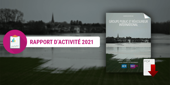 Rapport dactivité 2021 (ccr-re) FR